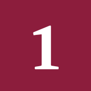 1 in 8 Billion icon
